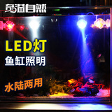 奇溢自然LED鱼缸灯 水族箱潜水灯照明灯鱼缸装饰迷你小射灯节能