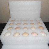 20枚土草鸡蛋托 鸭蛋托 epe珍珠棉鸡蛋托 鸡蛋快递包装箱 礼品盒