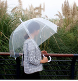 日韩阿波罗透明伞加厚蘑菇雨伞  影楼写真道具伞长柄广告伞装饰伞