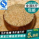 东北黑龙江15年新糙米绿色有机粳米农家胚芽玄米粗粮五谷杂粮包邮