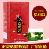 铁观音茶叶2016新茶一级乌龙茶罐装浓香型绿茶源自台湾乌龙品种