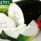 【京黔园】新鲜蔬菜有机肥 新鲜冬瓜 冬瓜 北京买菜同城配送到家