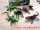 大号软胶仿真昆虫玩具模型蚂蚁蝎子蜘蛛螳螂甲虫蜥蜴儿童认知套装
