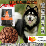 阿拉斯加雪橇犬哈士奇专用犬粮成犬幼犬通用天然狗粮20kg批发包邮