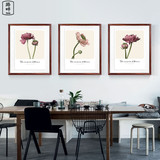 北欧现代简约装饰画植物花卉小清新客厅餐厅卧室三联有框挂画墙画