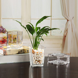 透明方形玻璃迷你小花瓶水培绿萝花器加厚加重客厅简约摆件装饰品