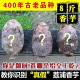【现定10月发货】8斤正宗广西荔浦芋头新鲜香芋农产品槟榔芋包邮