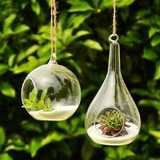悬挂玻璃球 创意家居房间挂饰品 空心植物吊瓶水滴花瓶玻璃工艺品