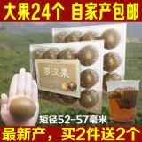 罗汉果特级果大果24个广西桂林永福罗汉果花茶新鲜礼盒装批发特产