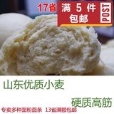 【山东馆】农家自磨面包面粉 烘焙原料 馒头高筋面粉 饺子粉500g