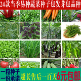 四季阳台蔬菜种子包发芽家庭播种水果小青菜鸡毛菜西瓜番茄正品