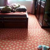 客厅卧室防滑地毯脚垫 定做儿童拼接泡沫垫pvc浴室防滑垫门厅门垫