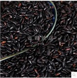 五谷杂粮自产黑米 无染色黑大米 农家非转基因黑香米真空包装