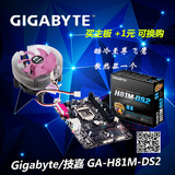 Gigabyte/技嘉 GA-H81M-DS2主板H81/1150针 套餐更优惠