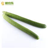 【鲜农乐】农家丝瓜800g/份 线丝瓜 青菜  应季蔬菜 新鲜采摘