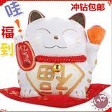 特价日本正版招财猫存钱罐陶瓷摆件储蓄罐 结婚生日开业创意礼品