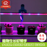 红蓝植物生长灯补光灯 LED育苗室内花卉多肉水草蔬菜大棚T5T8灯管