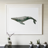 简约现代抽象个性清新水彩装饰画无框画挂画家居饰品动物鲸鱼