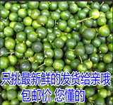 新鲜水果越南进口小青金桔 海南青橘5斤起拍包邮 金桔柠檬茶原料