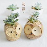 慢朴 多肉植物创意 zakka猫头鹰陶瓷花盆 盆栽带托盘新品