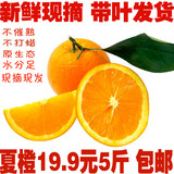 新鲜橙子纯天然有机水果夏橙脐橙冰糖甜橙原产地现摘5斤特价包邮