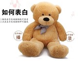 会说话的泰迪熊抱抱熊公仔智能对话录音毛绒玩具熊熊布娃娃表白熊