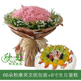 66朵粉色康乃馨花束搭配生日蛋糕组合 郑州鲜花店同城送花上门