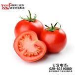 【西安蔬菜网】新鲜蔬菜 生态蔬菜 西红柿 番茄 500g 同城配送