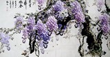 字画 大六尺整张横幅 纯手绘水墨国画 紫藤国画 名家真迹 客厅堂