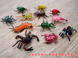 包邮大号塑胶仿真昆虫玩具模型甲虫蝎子蜘蛛儿童认知套装整人道具
