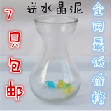 正品包邮 风信子花瓶水培瓶鲜花玻璃透明花瓶绿萝吊篮器皿玻璃插