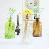 zakka彩色浮雕玻璃瓶 日系插花瓶 拍摄道具水培容器家居橱窗装饰