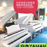 Yamaha/雅马哈双排88键 古琴 租琴出租白色立式121cm三角钢琴出租
