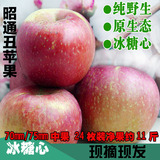 云南昭通冰糖心红富士野生丑苹果新鲜水果有机水果中果11斤包邮