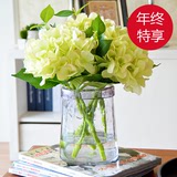 创意彩色花瓶玻璃透明 客厅欧式摆件 水培绿萝插花 桌面家居装饰