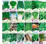 春季夏季秋季特价24品种 阳台盆栽 促销好吃水果菠菜四季蔬菜种子