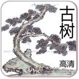 【木鱼】国画古树/国画水墨国风/高清图片/临摹绘画植物技法145