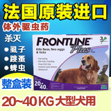 包邮福来恩滴剂大型犬20-40kg福莱恩体外驱虫药除跳蚤虱子蜱虫1盒