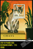 多哥1997年邮票小型张 猫咪 家猫 宠物猫专题 收藏「邮海拾趣」