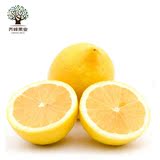 齐峰进口南非柠檬9个装黄柠檬新鲜水果进口柠檬包邮