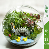 包邮微景观生态玻璃瓶创意迷你绿植办公室植物桌面盆栽龙猫摆件