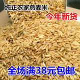 贵州燕麦米250g 煲粥煮饭天然佳品 纯天然农家无污染绿色燕麦米仁