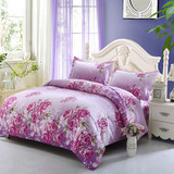 床上床单四件套珊瑚绒2.0m1.8米韩式公主风 春秋加绒被套欧美粉色