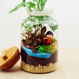 苔藓微景观生态瓶diy樱桃小丸子桌面玻璃盆栽创意绿植迷你植物