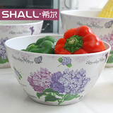 希尔沙拉碗套装4件 时尚创意水果盘塑料碗大号甜品碗韩式厨房餐具