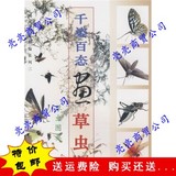 国画训练新编系列：千姿百态画草虫/上海书店出版社