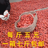陕北特产榆林大红枣黄河滩枣佳县有机枣油枣PK新疆和田自然枣