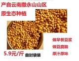 2015新货云南撒永山本地产优质黄豆做豆浆豆腐非转基因黄豆 包邮