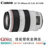Canon/佳能 EF 70-300mm f4-5.6L IS USM单反镜头70-300胖白国行