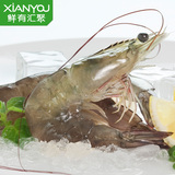【鲜有汇聚】马来西亚南美白对虾500g 26-29只 进口海鲜 新鲜活冻